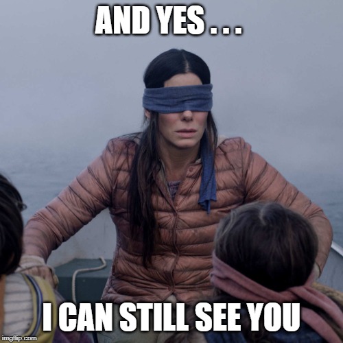 Bird Box Meme | AND YES . . . I CAN STILL SEE YOU | image tagged in memes,bird box | made w/ Imgflip meme maker