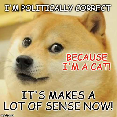 Doge | I'M POLITICALLY CORRECT; BECAUSE I'M A CAT! IT'S MAKES A LOT OF SENSE NOW! | image tagged in memes,doge | made w/ Imgflip meme maker