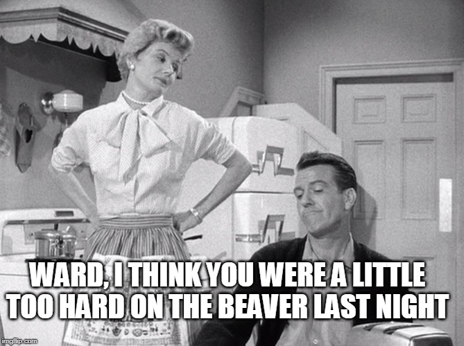 WARD, I THINK YOU WERE A LITTLE TOO HARD ON THE BEAVER LAST NIGHT | made w/ Imgflip meme maker