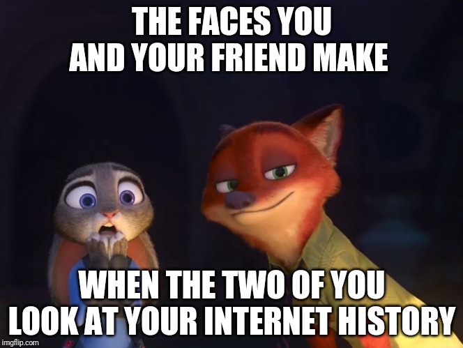 Nick's Internet History | THE FACES YOU AND YOUR FRIEND MAKE; WHEN THE TWO OF YOU LOOK AT YOUR INTERNET HISTORY | image tagged in judy hopps shocked nick happy,zootopia,nick wilde,judy hopps,funny,memes | made w/ Imgflip meme maker
