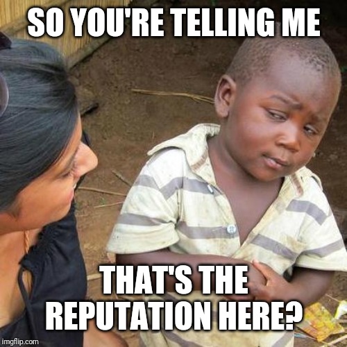 Third World Skeptical Kid Meme | SO YOU'RE TELLING ME THAT'S THE REPUTATION HERE? | image tagged in memes,third world skeptical kid | made w/ Imgflip meme maker