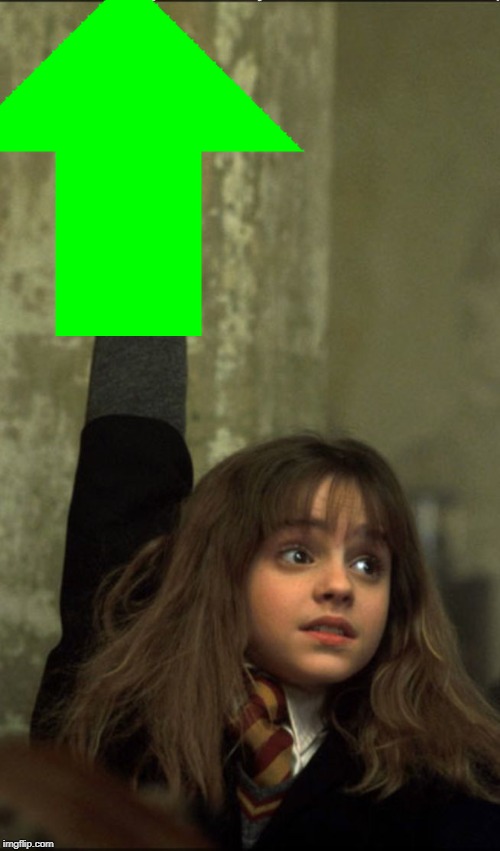 Hermione Granger | image tagged in hermione granger | made w/ Imgflip meme maker