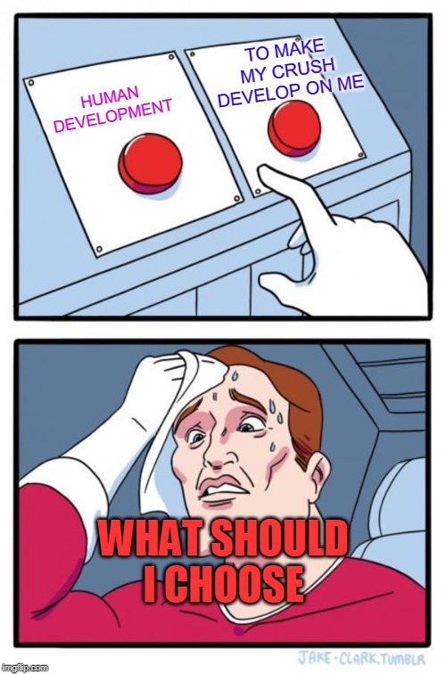 Two Buttons Meme | TO MAKE MY CRUSH DEVELOP ON ME; HUMAN DEVELOPMENT; WHAT SHOULD I CHOOSE | image tagged in memes,two buttons | made w/ Imgflip meme maker