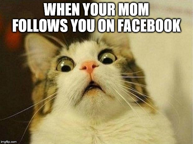 Scared Cat Meme | WHEN YOUR MOM FOLLOWS YOU ON FACEBOOK | image tagged in memes,scared cat | made w/ Imgflip meme maker