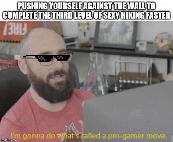 Pro Gamer move | PUSHING YOURSELF AGAINST THE WALL TO COMPLETE THE THIRD LEVEL OF SEXY HIKING FASTER | image tagged in pro gamer move | made w/ Imgflip meme maker
