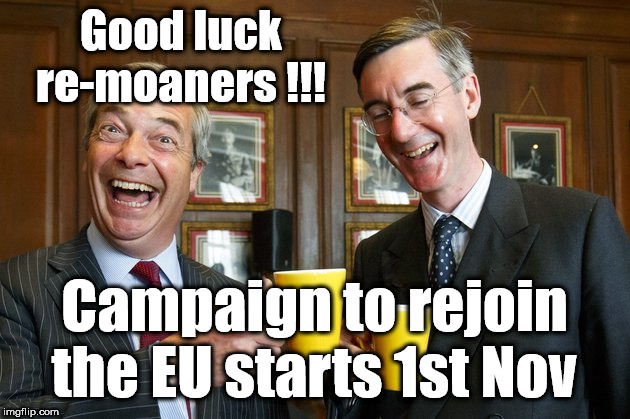Campaign to re-join the EU | Good luck re-moaners !!! Campaign to rejoin the EU starts 1st Nov | image tagged in brexit farage and rees-mogg,brexit,re-moaners,leave remain,boris,common market | made w/ Imgflip meme maker