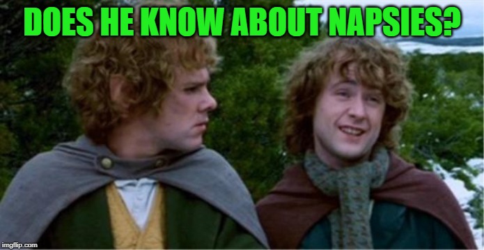Merry and Pippin | DOES HE KNOW ABOUT NAPSIES? | image tagged in merry and pippin | made w/ Imgflip meme maker