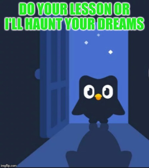 Duolingo bird | DO YOUR LESSON OR I'LL HAUNT YOUR DREAMS | image tagged in duolingo bird | made w/ Imgflip meme maker