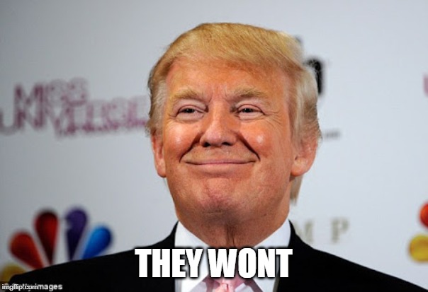 Donald trump approves | THEY WONT | image tagged in donald trump approves | made w/ Imgflip meme maker