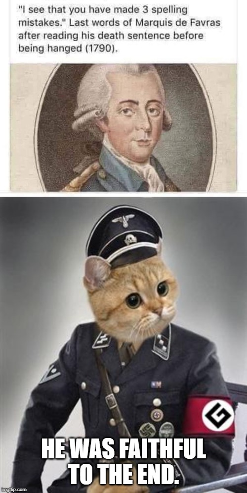 Grammar Nazis unite! | HE WAS FAITHFUL TO THE END. | image tagged in grammar nazi cat,funny,funny memes | made w/ Imgflip meme maker