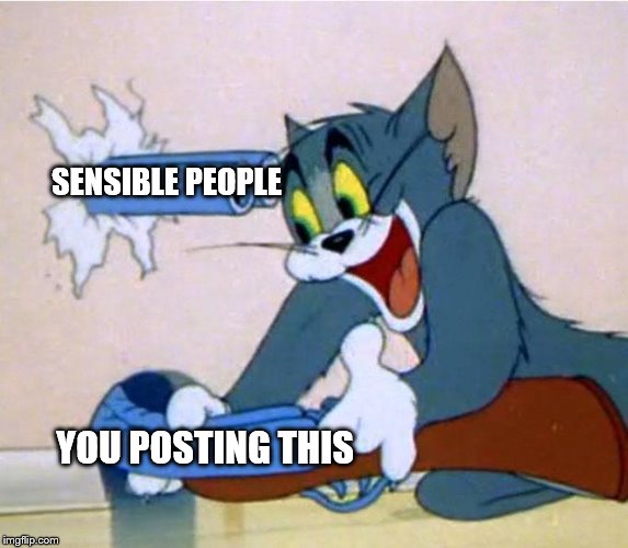 tom shotgun | YOU POSTING THIS SENSIBLE PEOPLE | image tagged in tom shotgun | made w/ Imgflip meme maker