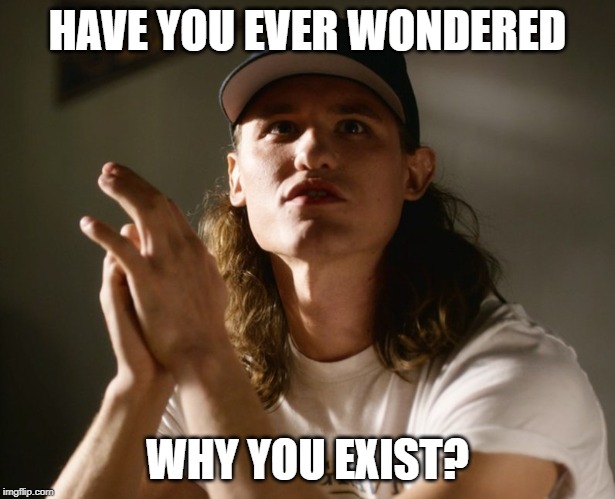HAVE YOU EVER WONDERED; WHY YOU EXIST? | made w/ Imgflip meme maker