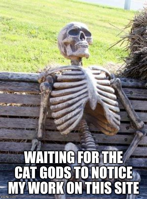 Waiting Skeleton Meme | WAITING FOR THE CAT GODS TO NOTICE MY WORK ON THIS SITE | image tagged in memes,waiting skeleton,cats | made w/ Imgflip meme maker