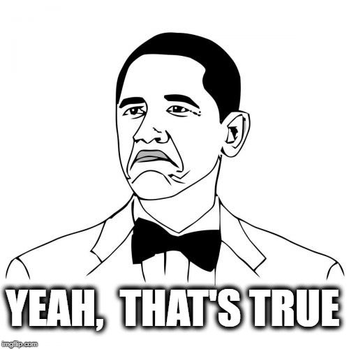 Not Bad Obama Meme | YEAH,  THAT'S TRUE | image tagged in memes,not bad obama | made w/ Imgflip meme maker