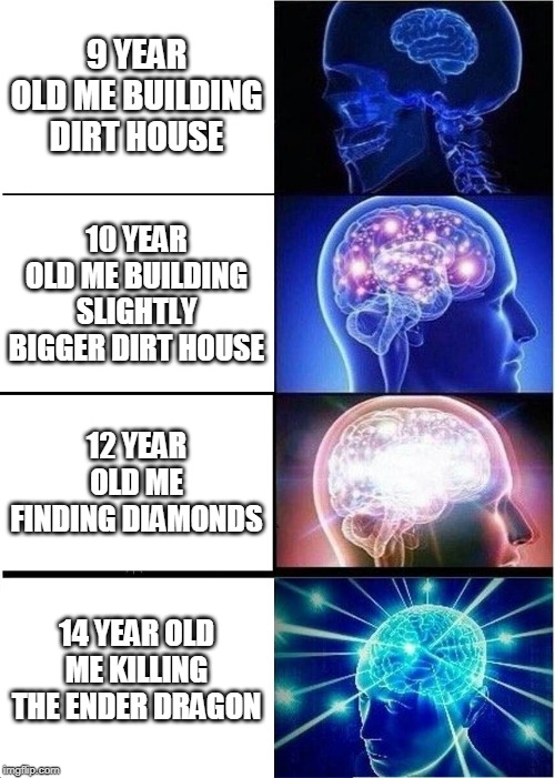 Expanding Brain | 9 YEAR OLD ME BUILDING DIRT HOUSE; 10 YEAR OLD ME BUILDING SLIGHTLY BIGGER DIRT HOUSE; 12 YEAR OLD ME FINDING DIAMONDS; 14 YEAR OLD ME KILLING THE ENDER DRAGON | image tagged in memes,expanding brain | made w/ Imgflip meme maker