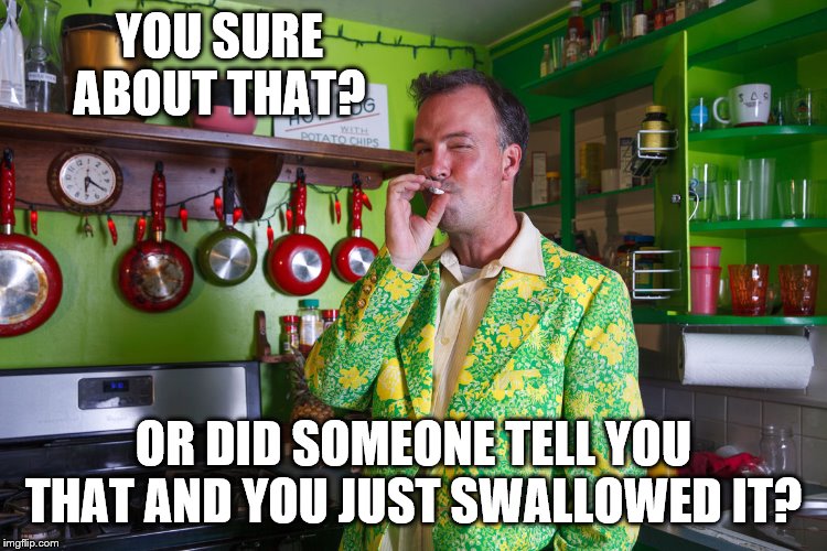 YOU SURE ABOUT THAT? OR DID SOMEONE TELL YOU THAT AND YOU JUST SWALLOWED IT? | made w/ Imgflip meme maker