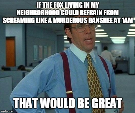 That Would Be Great Meme | IF THE FOX LIVING IN MY NEIGHBORHOOD COULD REFRAIN FROM SCREAMING LIKE A MURDEROUS BANSHEE AT 1AM; THAT WOULD BE GREAT | image tagged in memes,that would be great,AdviceAnimals | made w/ Imgflip meme maker