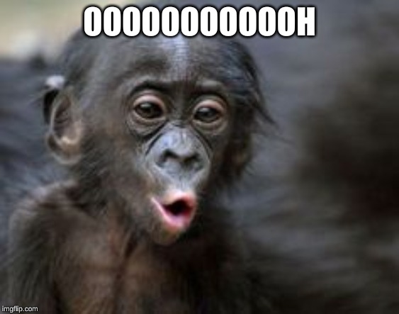 Ooooh monkey  | OOOOOOOOOOOH | image tagged in ooooh monkey | made w/ Imgflip meme maker