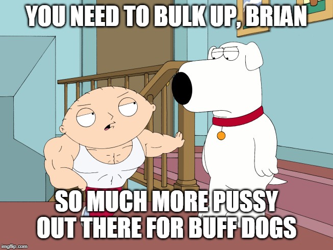 buff stewie | YOU NEED TO BULK UP, BRIAN SO MUCH MORE PUSSY OUT THERE FOR BUFF DOGS | image tagged in buff stewie | made w/ Imgflip meme maker