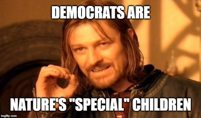 One Does Not Simply | DEMOCRATS ARE; NATURE'S "SPECIAL" CHILDREN | image tagged in memes,one does not simply | made w/ Imgflip meme maker