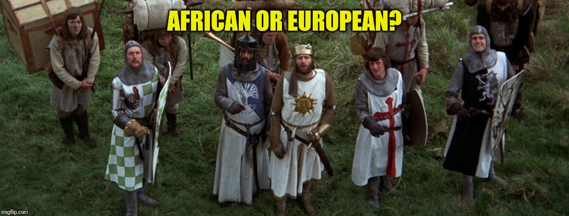 Monty Python Holy Grail French | AFRICAN OR EUROPEAN? | image tagged in monty python holy grail french | made w/ Imgflip meme maker