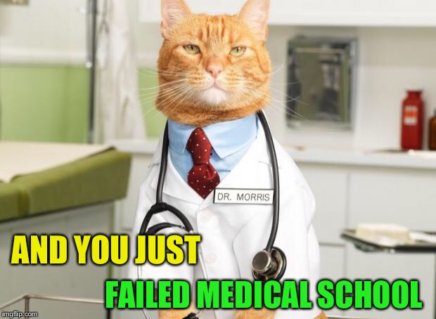 Cat Doctor | AND YOU JUST FAILED MEDICAL SCHOOL | image tagged in cat doctor | made w/ Imgflip meme maker