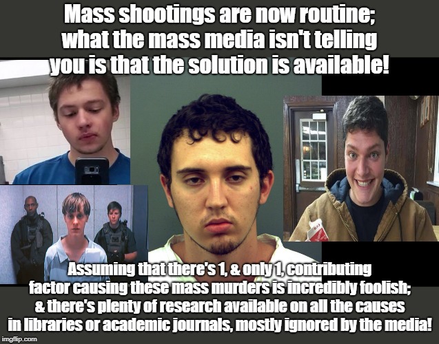 Mass shootings are now routine; what the mass media isn't telling you is that the solution is available! Assuming that there's 1, & only 1, contributing factor causing these mass murders is incredibly foolish; & there's plenty of research available on all the causes in libraries or academic journals, mostly ignored by the media! | made w/ Imgflip meme maker