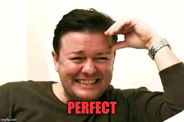 Laughing Ricky Gervais | PERFECT | image tagged in laughing ricky gervais | made w/ Imgflip meme maker