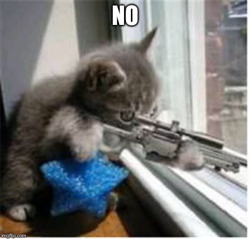 cats with guns | NO | image tagged in cats with guns | made w/ Imgflip meme maker