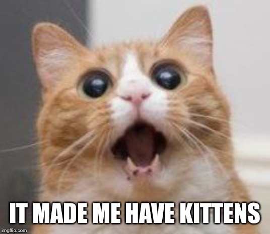 Wow | IT MADE ME HAVE KITTENS | image tagged in wow | made w/ Imgflip meme maker