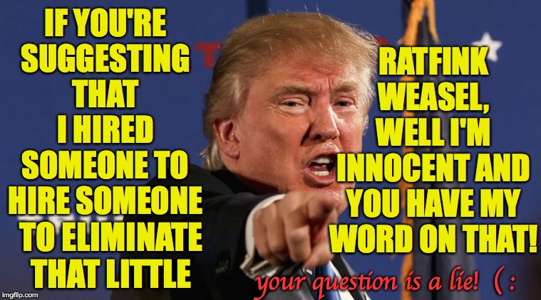 trump-angry-finger-fake-news | IF YOU'RE SUGGESTING THAT I HIRED SOMEONE TO HIRE SOMEONE your question is a lie!  ( : TO ELIMINATE THAT LITTLE RATFINK WEASEL, WELL I'M INN | image tagged in trump-angry-finger-fake-news | made w/ Imgflip meme maker