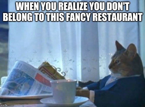 I Should Buy A Boat Cat | WHEN YOU REALIZE YOU DON'T BELONG TO THIS FANCY RESTAURANT | image tagged in memes,i should buy a boat cat | made w/ Imgflip meme maker