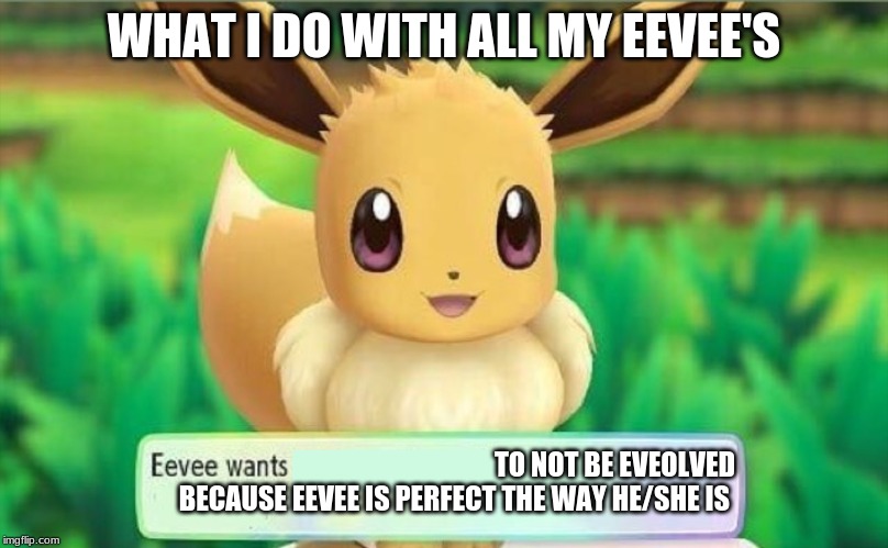 this is my oppinion sorry if it is not yours | WHAT I DO WITH ALL MY EEVEE'S; TO NOT BE EVEOLVED BECAUSE EEVEE IS PERFECT THE WAY HE/SHE IS | image tagged in eevee | made w/ Imgflip meme maker