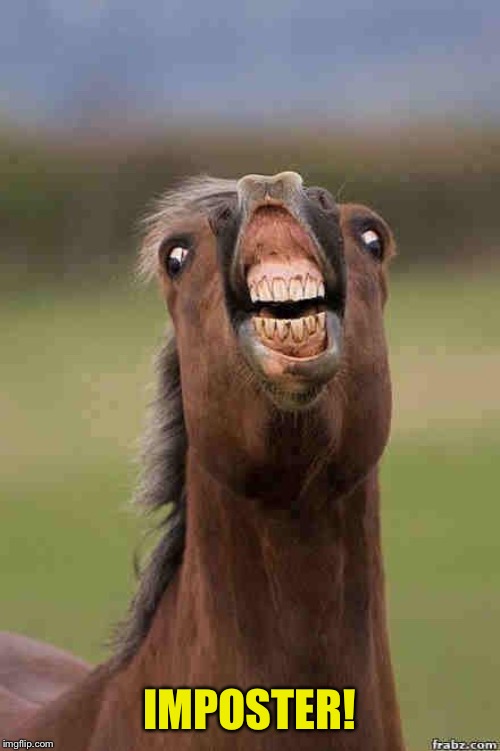 horse face | IMPOSTER! | image tagged in horse face | made w/ Imgflip meme maker