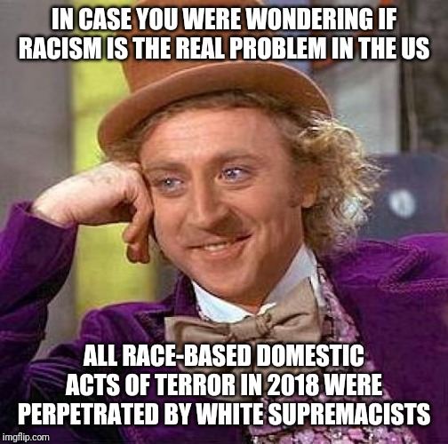 Creepy Condescending Wonka | IN CASE YOU WERE WONDERING IF RACISM IS THE REAL PROBLEM IN THE US; ALL RACE-BASED DOMESTIC ACTS OF TERROR IN 2018 WERE PERPETRATED BY WHITE SUPREMACISTS | image tagged in memes,creepy condescending wonka | made w/ Imgflip meme maker