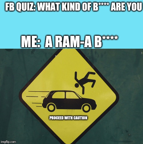 Mood ? | FB QUIZ: WHAT KIND OF B**** ARE YOU; ME:  A RAM-A B****; PROCEED WITH CAUTION | image tagged in humor | made w/ Imgflip meme maker