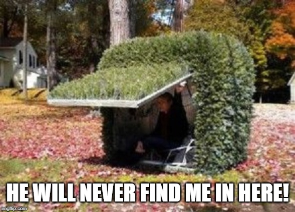 hiding in a bush | HE WILL NEVER FIND ME IN HERE! | image tagged in hiding in a bush | made w/ Imgflip meme maker