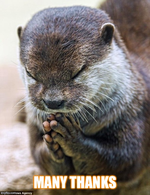 MANY THANKS | image tagged in thank you lord otter | made w/ Imgflip meme maker