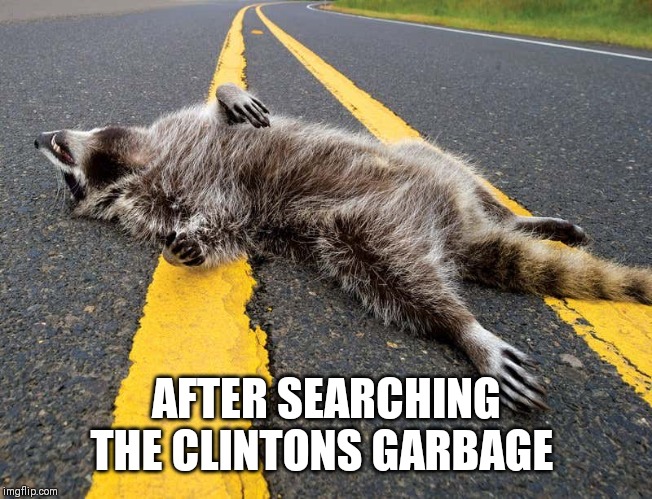Clinton coon | AFTER SEARCHING THE CLINTONS GARBAGE | image tagged in hillary clinton | made w/ Imgflip meme maker