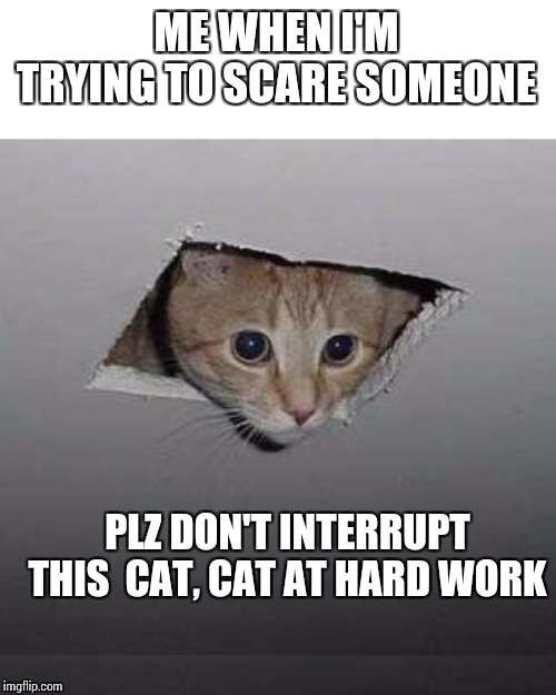 Ceiling Cat Meme | ME WHEN I'M TRYING TO SCARE SOMEONE; PLZ DON'T INTERRUPT THIS  CAT, CAT AT HARD WORK | image tagged in memes,ceiling cat | made w/ Imgflip meme maker