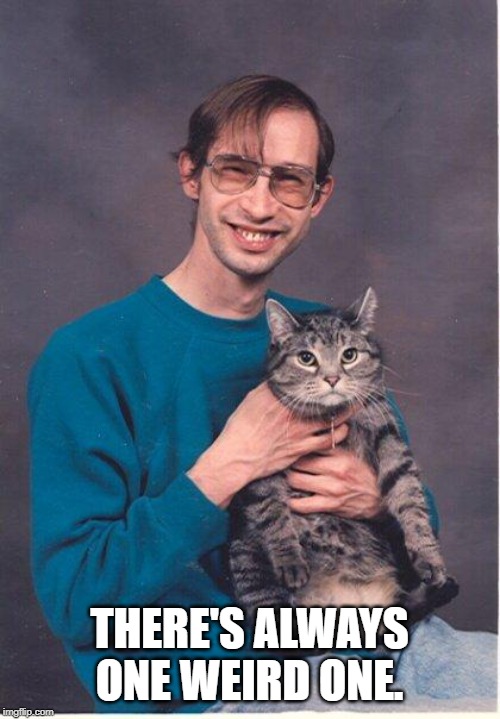 cat-nerd | THERE'S ALWAYS ONE WEIRD ONE. | image tagged in cat-nerd | made w/ Imgflip meme maker