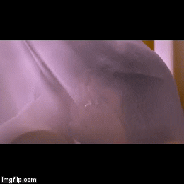 image tagged in gifs | made w/ Imgflip video-to-gif maker