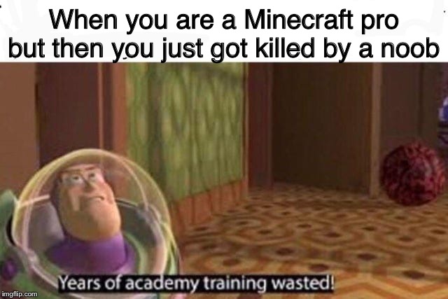 Years Of Academy Training Wasted | When you are a Minecraft pro but then you just got killed by a noob | image tagged in years of academy training wasted | made w/ Imgflip meme maker