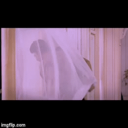 image tagged in gifs | made w/ Imgflip video-to-gif maker