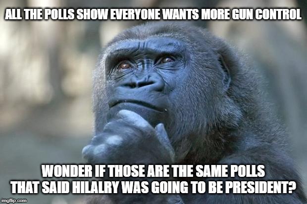 that is the question | ALL THE POLLS SHOW EVERYONE WANTS MORE GUN CONTROL; WONDER IF THOSE ARE THE SAME POLLS THAT SAID HILALRY WAS GOING TO BE PRESIDENT? | image tagged in that is the question | made w/ Imgflip meme maker