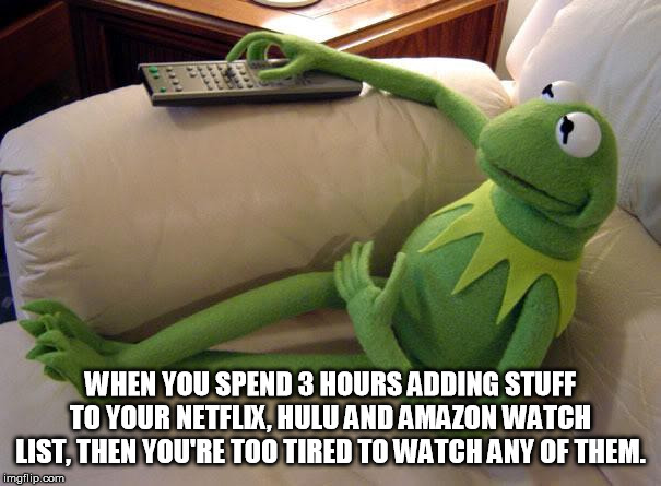 Kermit on couch with remote | WHEN YOU SPEND 3 HOURS ADDING STUFF TO YOUR NETFLIX, HULU AND AMAZON WATCH LIST, THEN YOU'RE TOO TIRED TO WATCH ANY OF THEM. | image tagged in kermit on couch with remote | made w/ Imgflip meme maker
