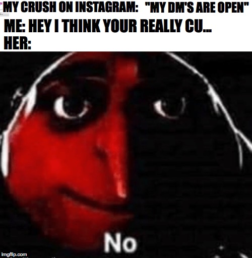 guru says no | MY CRUSH ON INSTAGRAM:; "MY DM'S ARE OPEN"; ME: HEY I THINK YOUR REALLY CU... HER: | image tagged in no,gru meme,funny memes | made w/ Imgflip meme maker
