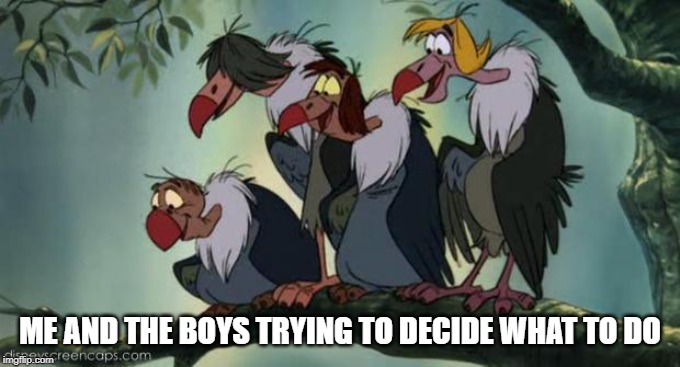 Vulture Culture | ME AND THE BOYS TRYING TO DECIDE WHAT TO DO | image tagged in vulture culture | made w/ Imgflip meme maker