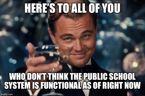 Leonardo Dicaprio Cheers | HERE’S TO ALL OF YOU; WHO DON’T THINK THE PUBLIC SCHOOL SYSTEM IS FUNCTIONAL AS OF RIGHT NOW | image tagged in memes,leonardo dicaprio cheers | made w/ Imgflip meme maker