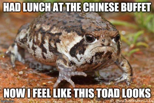 Grumpy Toad Meme | HAD LUNCH AT THE CHINESE BUFFET; NOW I FEEL LIKE THIS TOAD LOOKS | image tagged in memes,grumpy toad | made w/ Imgflip meme maker
